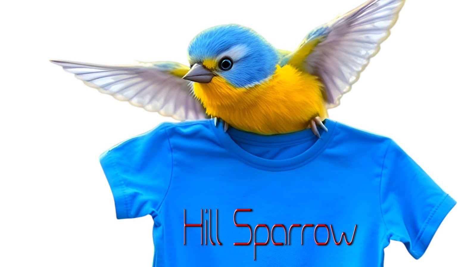 Main Banner Image 1